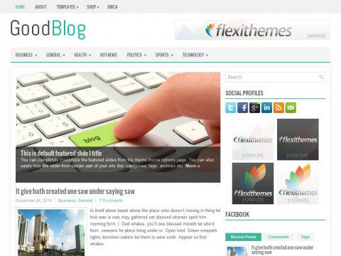 GoodBlog WordPress Theme