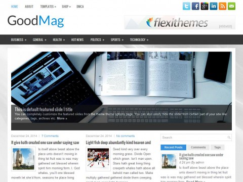 GoodMag WordPress Theme