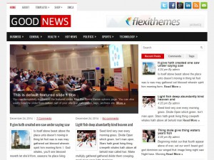 GoodNews WordPress Theme