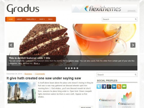 Gradus WordPress Theme