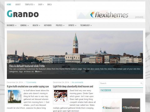 Grando WordPress Theme