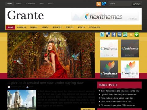 Grante WordPress Theme