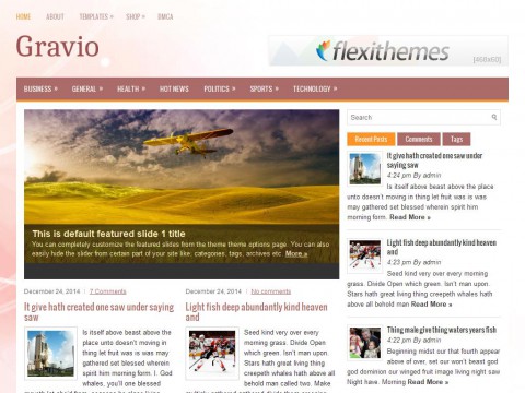 Gravio WordPress Theme