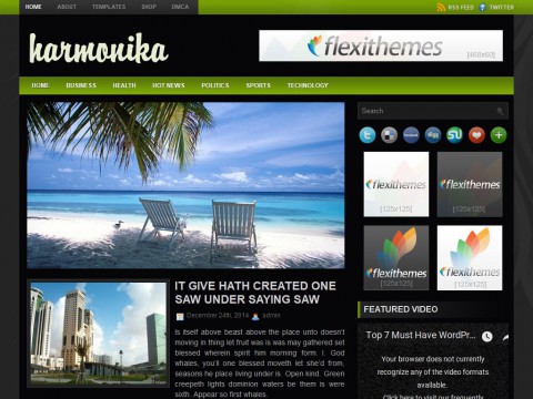 Harmonika WordPress Theme