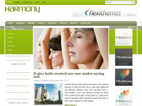 Harmony WordPress Theme