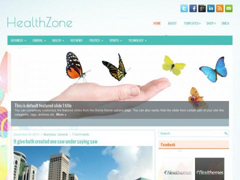 HealthZone WordPress Theme