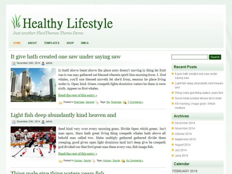 Healthy Lifestyle WordPress Theme