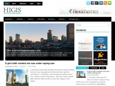 Higis WordPress Theme