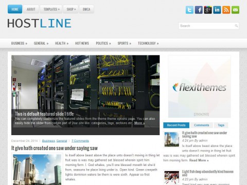 HostLine WordPress Theme