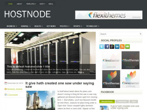HostNode WordPress Theme