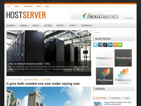 HostServer WordPress Theme