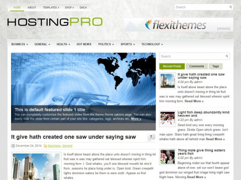 HostingPro WordPress Theme