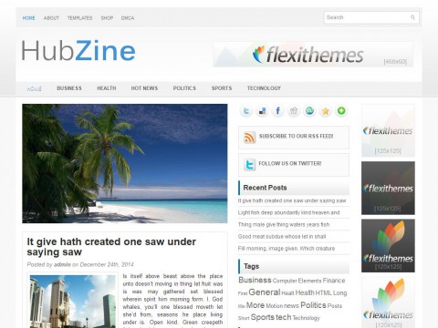 HubZine WordPress Theme