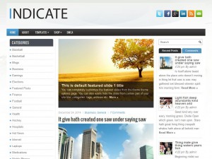 Indicate WordPress Theme