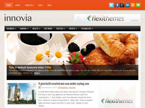 Innovia WordPress Theme