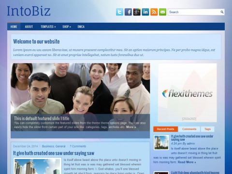 IntoBiz WordPress Theme