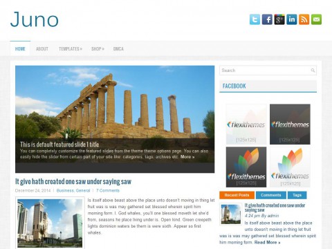 Juno WordPress Theme