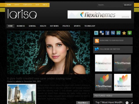 Larisa WordPress Theme