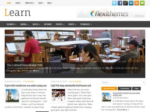 Learn WordPress Theme