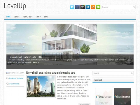 LevelUp WordPress Theme