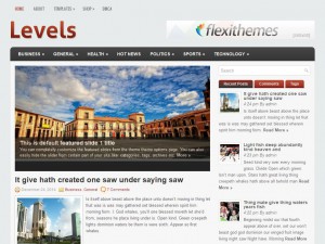 Levels WordPress Theme