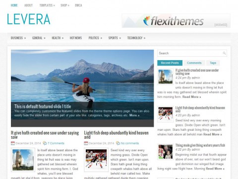 Levera WordPress Theme