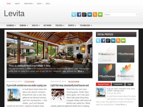 Levita WordPress Theme