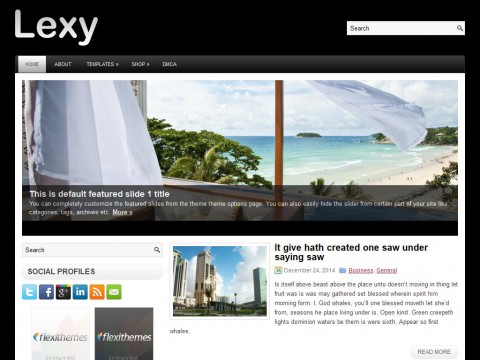 Lexy WordPress Theme