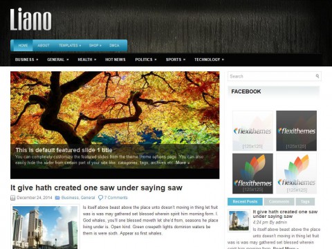 Liano WordPress Theme