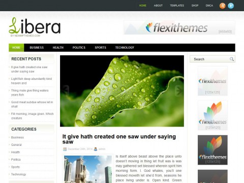 Libera WordPress Theme