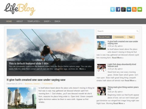 LifeBlog WordPress Theme