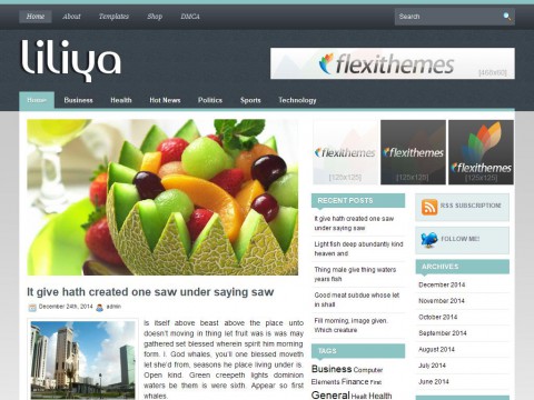 Liliya WordPress Theme