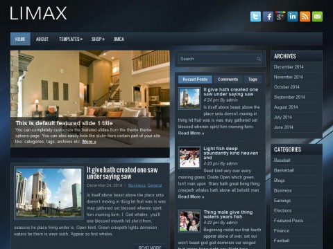 Limax WordPress Theme