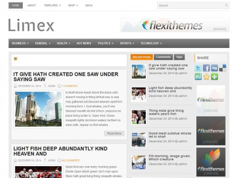 Limex WordPress Theme