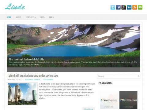 Linde WordPress Theme