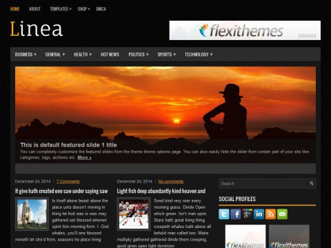 Linea WordPress Theme