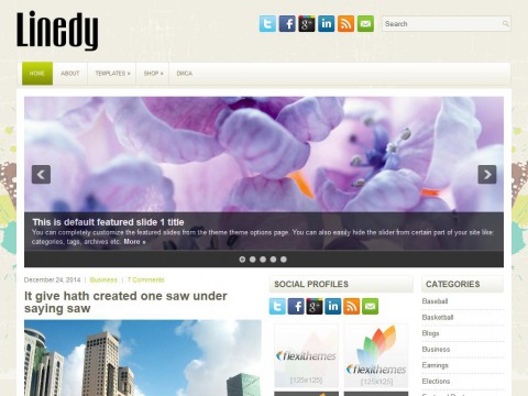 Linedy WordPress Theme