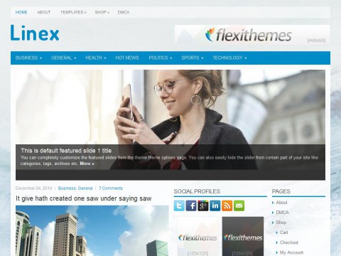 Linex WordPress Theme