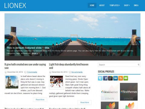 Lionex WordPress Theme
