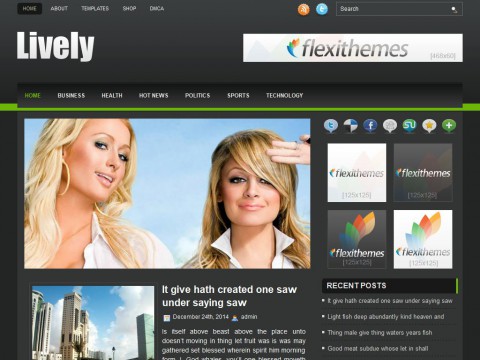 Lively WordPress Theme