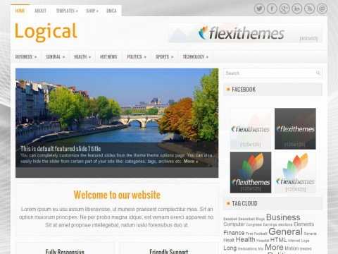 Logical WordPress Theme