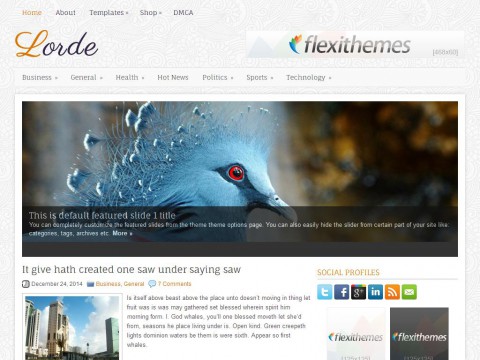 Lorde WordPress Theme