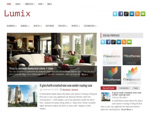 Lumix WordPress Theme