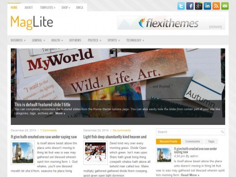 MagLite WordPress Theme