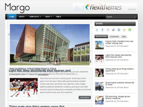 Margo WordPress Theme