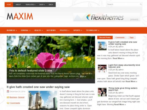 Maxim WordPress Theme