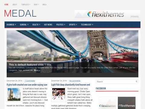 Medal WordPress Theme