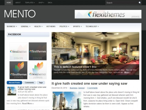 Mento WordPress Theme