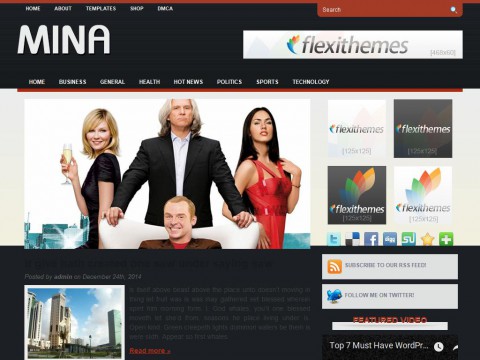 Mina WordPress Theme