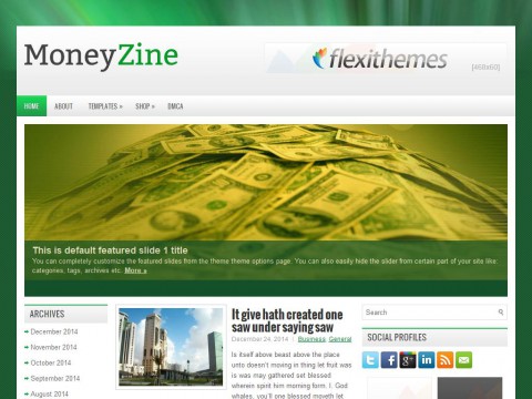 MoneyZine WordPress Theme